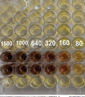 J Microbiota